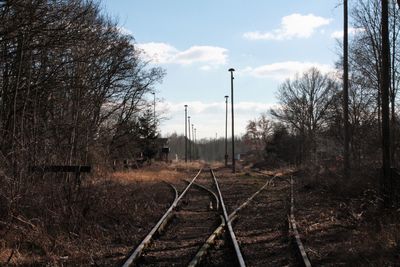 Railroad track amidst bare trees against sky