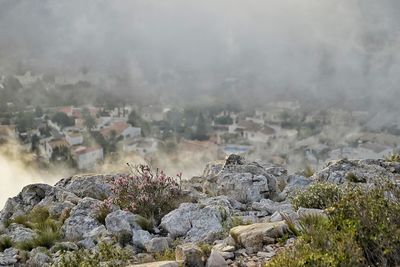 fog