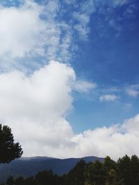 Low angle view of trees against sky