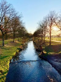 Canal amidst trees against sky