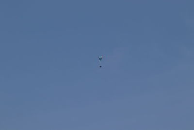 Low angle view of bird flying against blue sky