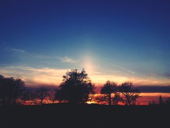 Silhouette of trees at sunset