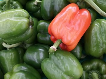 Full frame shot of bell peppers for sale in market