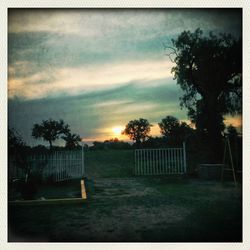 Silhouette of trees at sunset