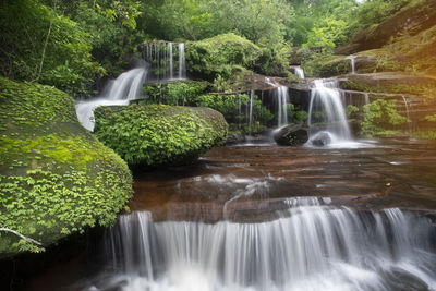 Scenic view of waterfall in forest