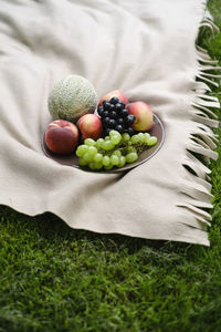 Fresh fruits on the plate on the blanket outdoors in the park. summer grape, peach, melon. picnic