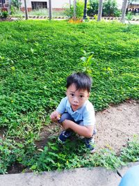 Portrait of cute boy crouching by plants