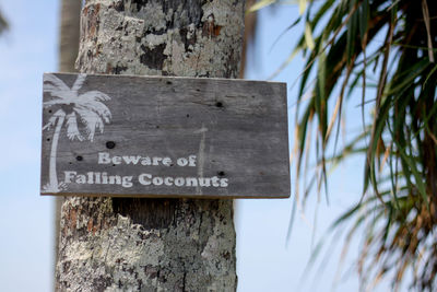 Close-up of sign on tree trunk