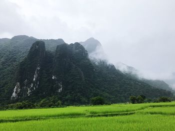 Scenic view of grassy field and mountains against sky