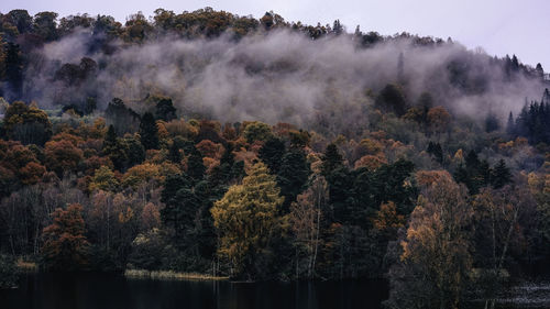 Panoramic view of forest against sky during autumn