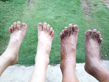 Low section of friends in yard