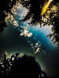 Silhouette trees against sky