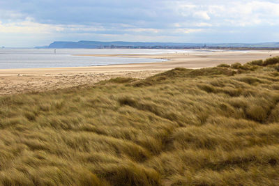 Scenic view of beach against sky