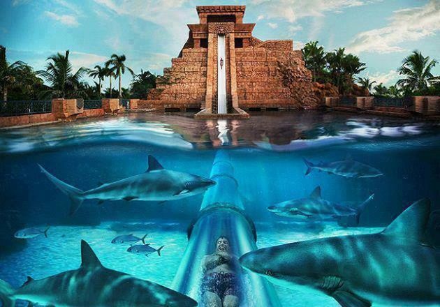 Atlantis The Palm, Aquaventure