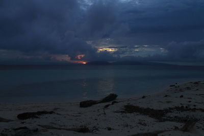 Dog on beach against sky during sunset