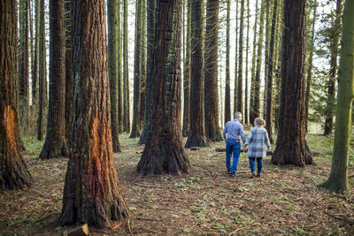 Rear view of retired couple walking in nature, enjoying their freedom.