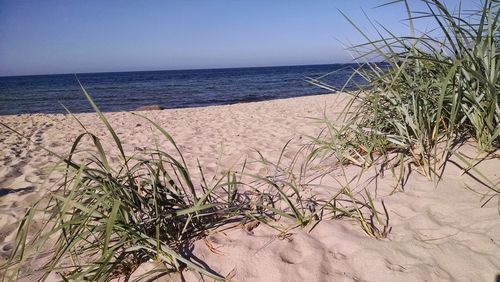Scenic view of sea against blue sky
