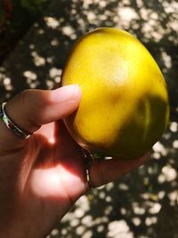 Close-up of hand holding apple