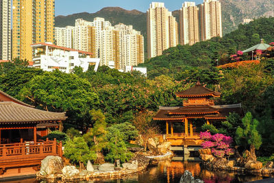 View of trees and buildings in city