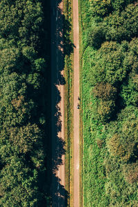 High angle view of trees on field