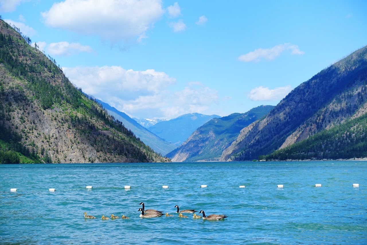 water, mountain, scenics - nature, beauty in nature, sky, cloud - sky, mountain range, tranquil scene, nature, tranquility, waterfront, day, non-urban scene, nautical vessel, lake, animals in the wild, transportation, animal wildlife, no people, outdoors