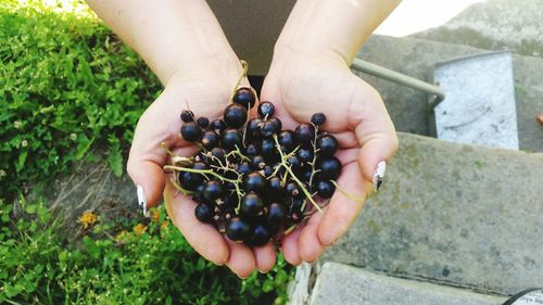 High angle view of hand holding grapes