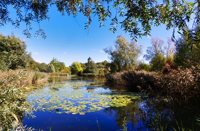 Scenic view of lake against clear blue sky