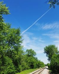 Road amidst trees against blue sky