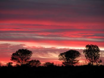 Silhouette trees against dramatic sky during sunset