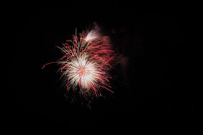 Low angle view of firework display at night