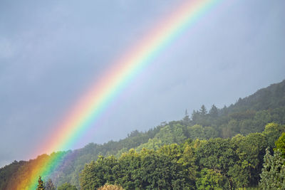 Scenic view of rainbow over forest against sky