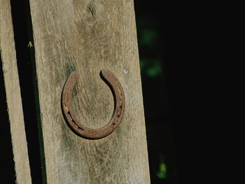 Close-up of wood