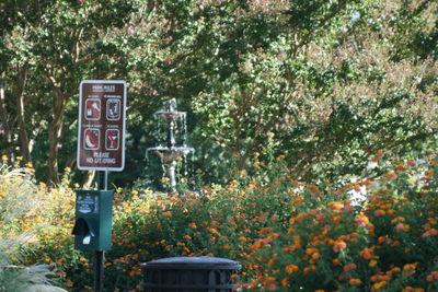 Information sign against trees and plants