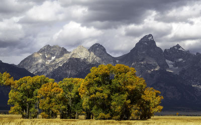 Scenic view of trees and mountains against sky