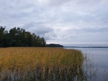 Scenic view of lake against sky