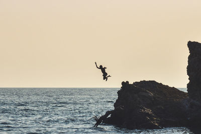 Bird flying over sea against clear sky