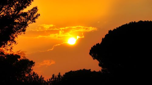 Silhouette trees against dramatic sky during sunset