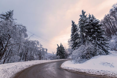 Winter road. country road through forest. travel concept.