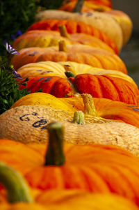 Close-up of orange for sale in market