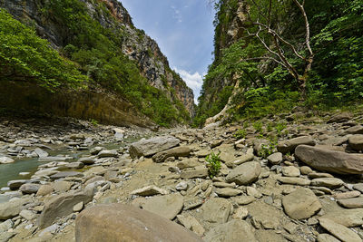 rock