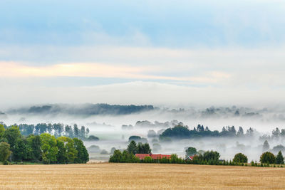 Scenic view of field against sky