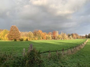 Scenic view of field against sky