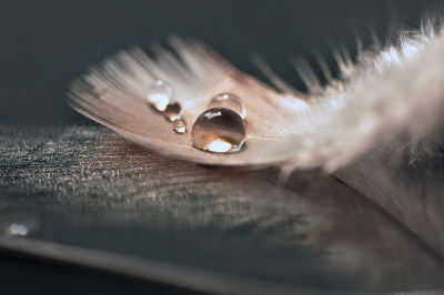 Close-up of water drops on metal