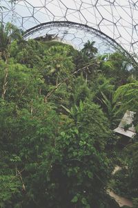 Plants in greenhouse against sky