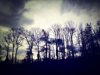 Bare trees on landscape against cloudy sky