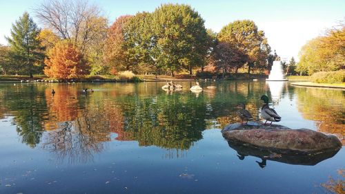 Reflection of trees in lake against sky during autumn