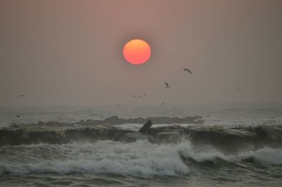 Bird flying over sea against sky during sunset