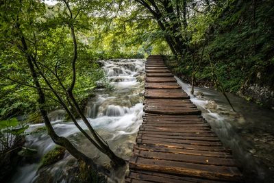 View of wooden footbridge over river in forest