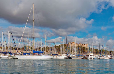 Sailboats moored in harbor against sky