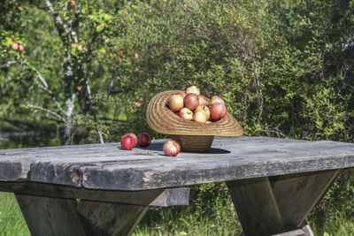 Close-up of apples on table